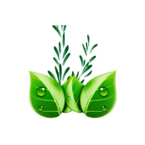 Bhini Herbal