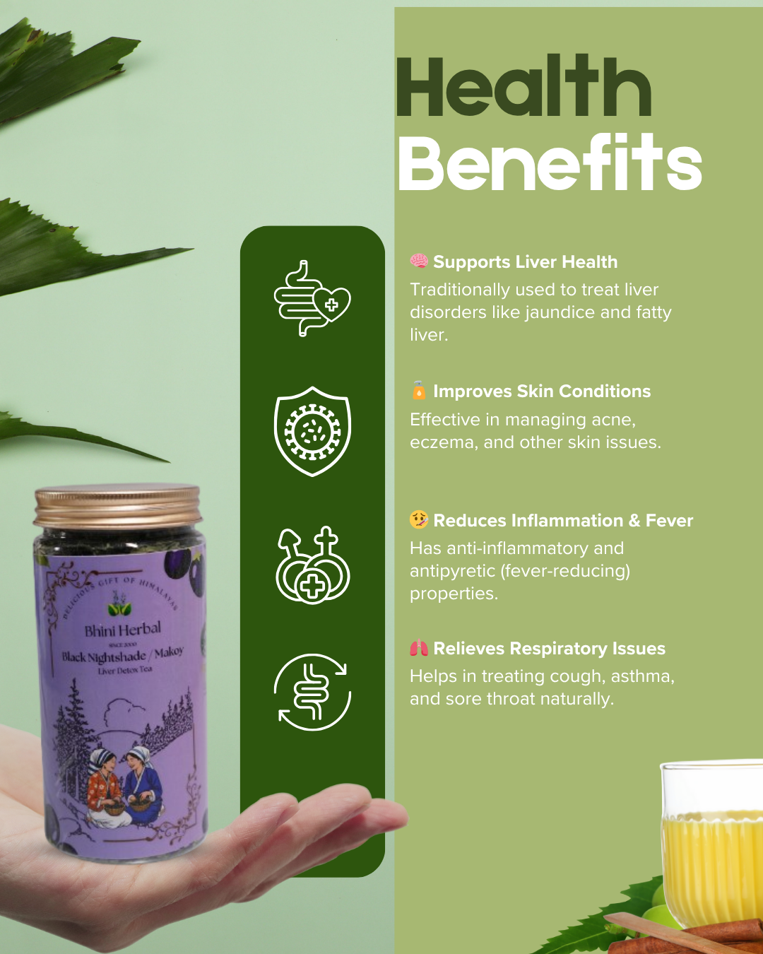 Black Nightshade / Makoy (Liver Detox Tea) - Image 3