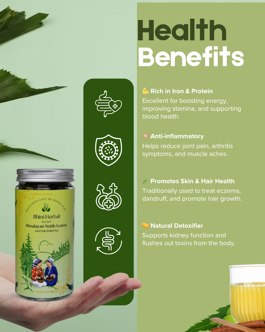Himalayan Nettle Leaves (Joint Pain Relief Tea) - Image 2