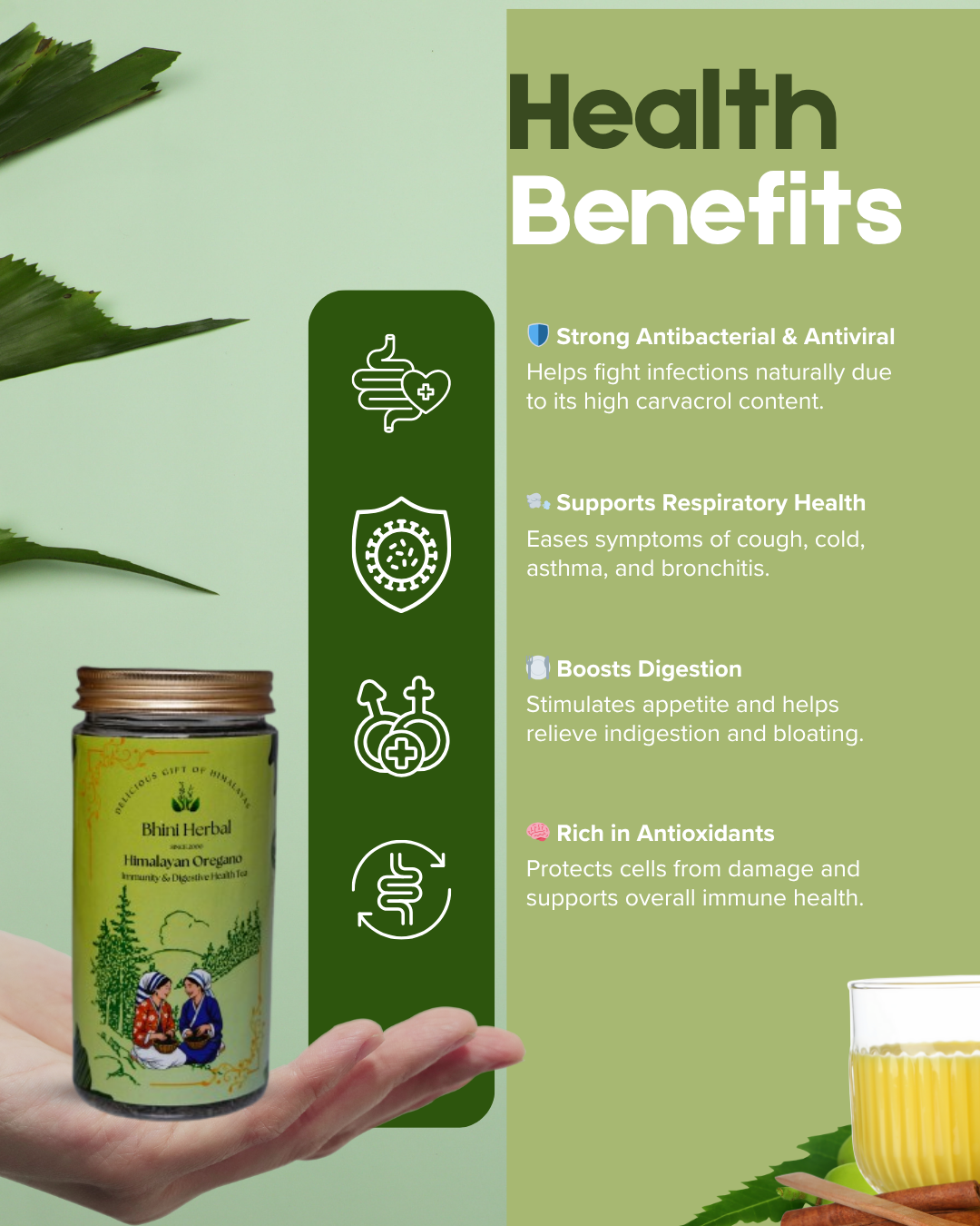 Himalayan Oregano (Immunity & Digestive Health Tea) - Image 2