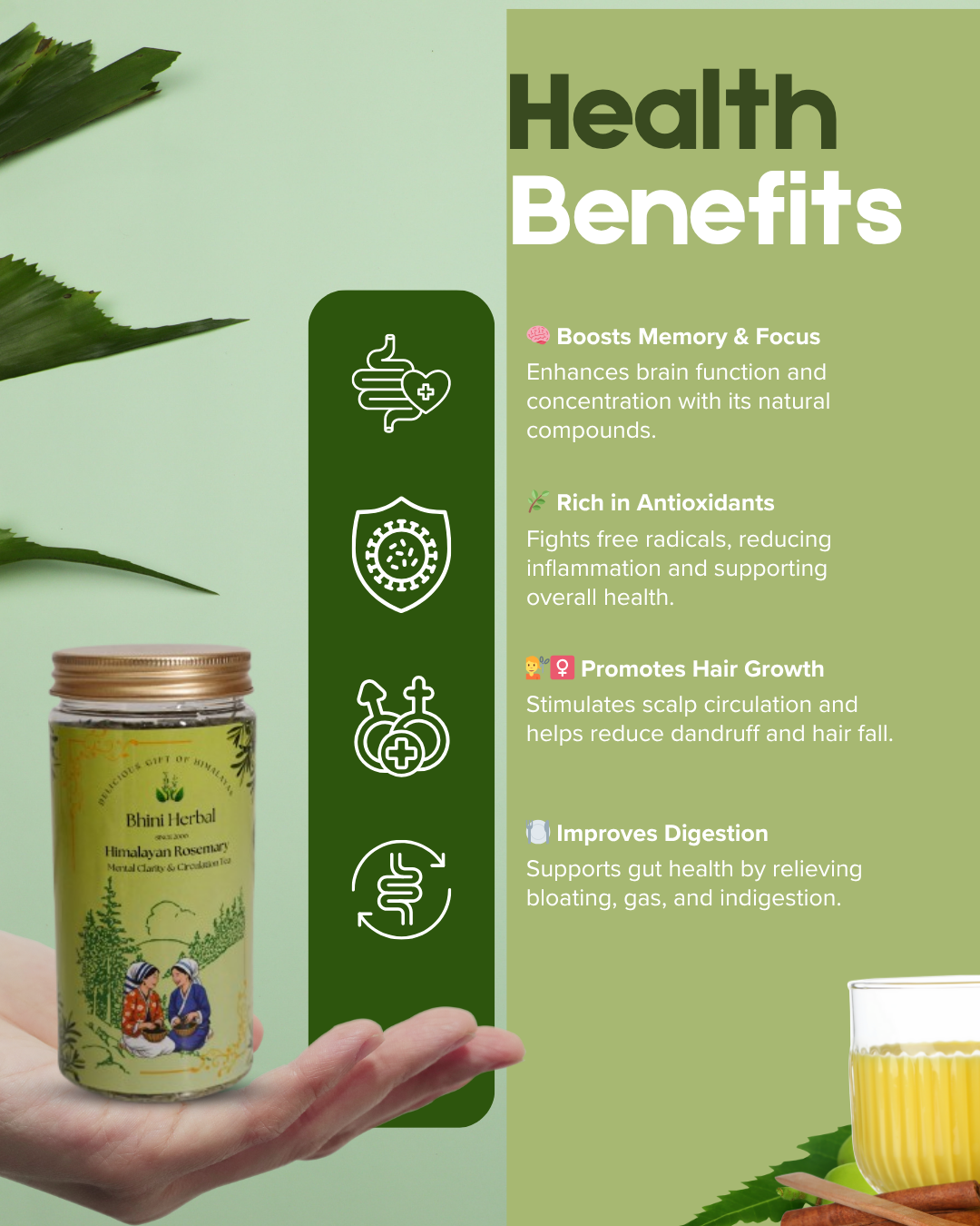 Himalayan Rosemary (Mental Clarity & Circulation Tea) - Image 2